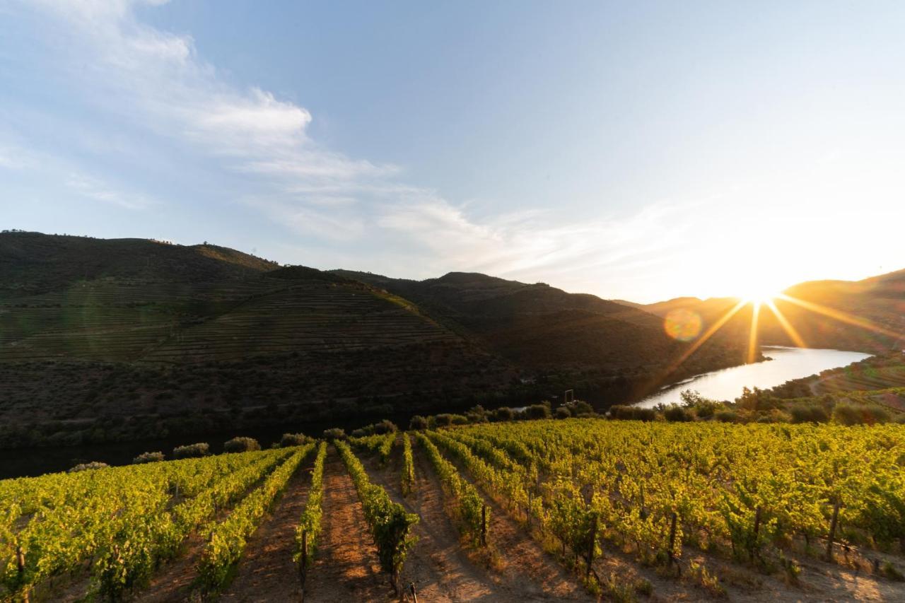 Quinta De S. Jose - Turismo Rural Ervedosa do Douro Kültér fotó