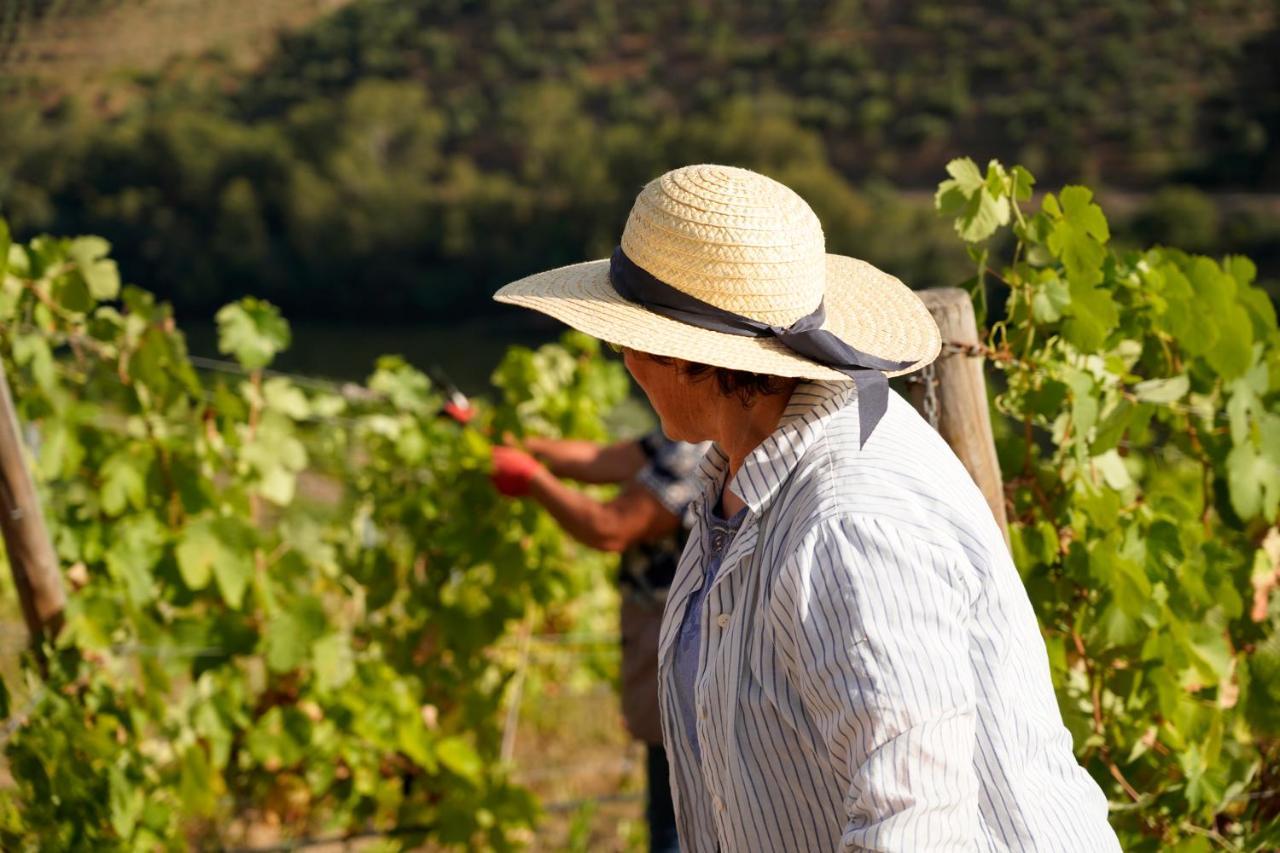 Quinta De S. Jose - Turismo Rural Ervedosa do Douro Kültér fotó