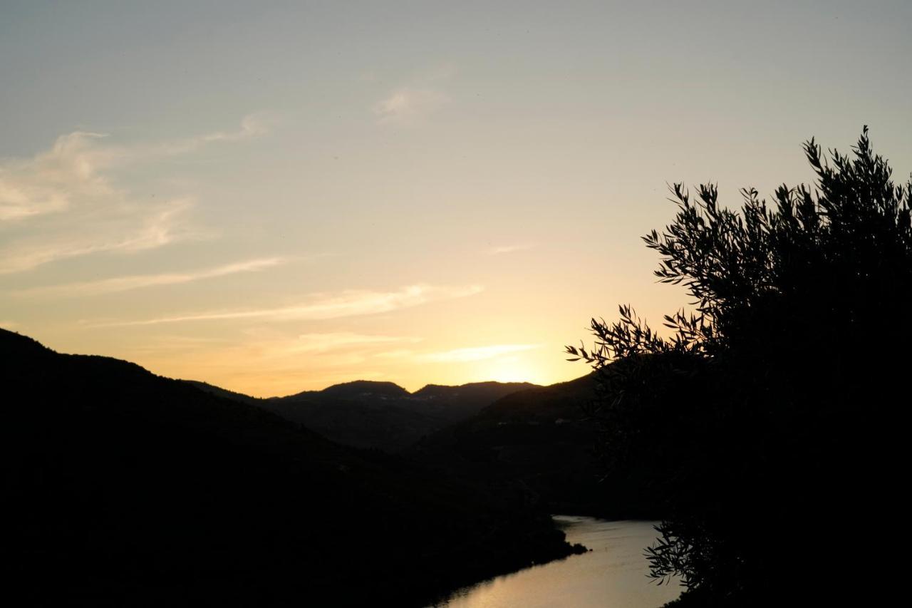 Quinta De S. Jose - Turismo Rural Ervedosa do Douro Kültér fotó